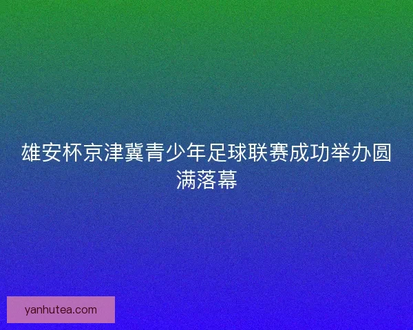 雄安杯京津冀青少年足球联赛成功举办圆满落幕