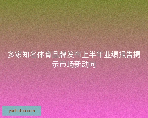 多家知名体育品牌发布上半年业绩报告揭示市场新动向
